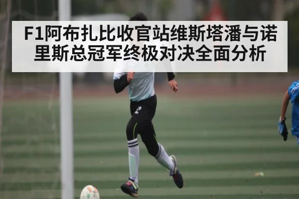 F1阿布扎比收官站维斯塔潘与诺里斯总冠军终极对决全面分析 - kaiyun